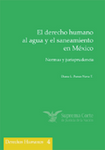 Serie DD. HH. 04 El derecho humano al agua y el saneamiento en México