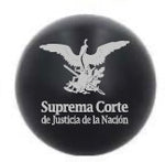 Pelota anti estrés
