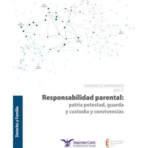 Derecho y Familia 15 Responsabilidad parental: patria potestad, guarda, custodia, convivencias
